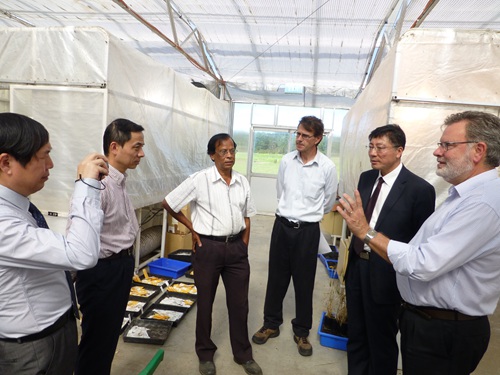 ������У���ι�Ϥ���ѧֲ�������о���